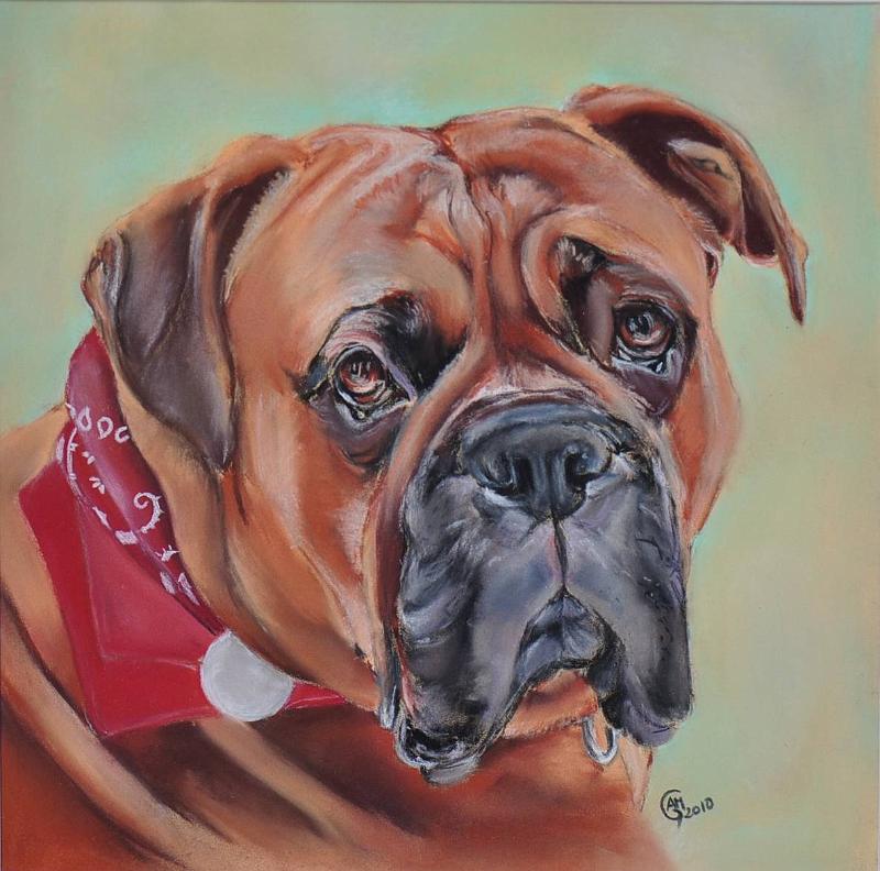 markus au bandana rouge.jpg - Pastel format /size 30x30